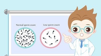 Can One Personally Check Sperm Quality Compressor